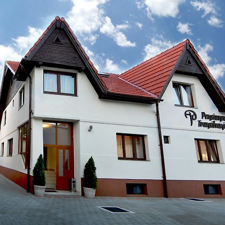 Pensiunea Transilvania Sibiu Extérieur photo